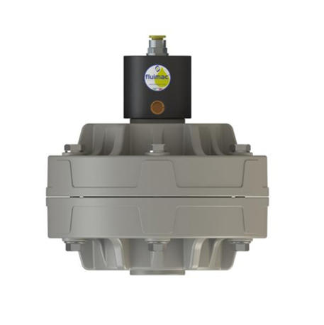 Fluimac D25 (25mm) Pneumatic Pulsation damper